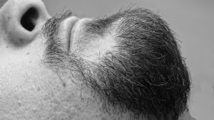 camellia oil for men care of the beard