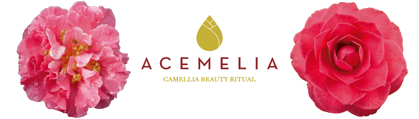 aceite de camelia y ritual de belleza para rostro, cabello y cuerpo